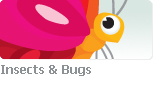 Insects ? Bugs - Stock illustration clip art