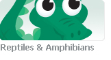 Reptiles ? Amphibians - Stock illustration clip art.